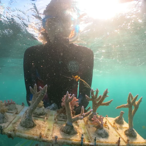 a diver holding some coral