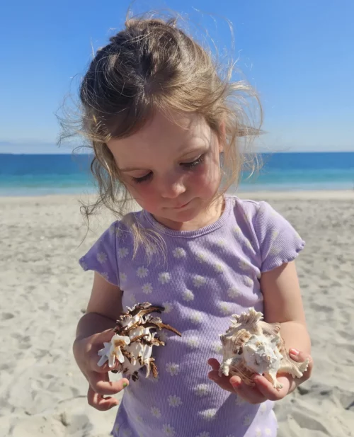 A young child is looking at shells on the beach