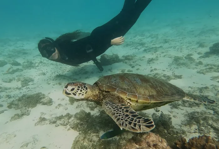 a diver swims along-side a sea turtle